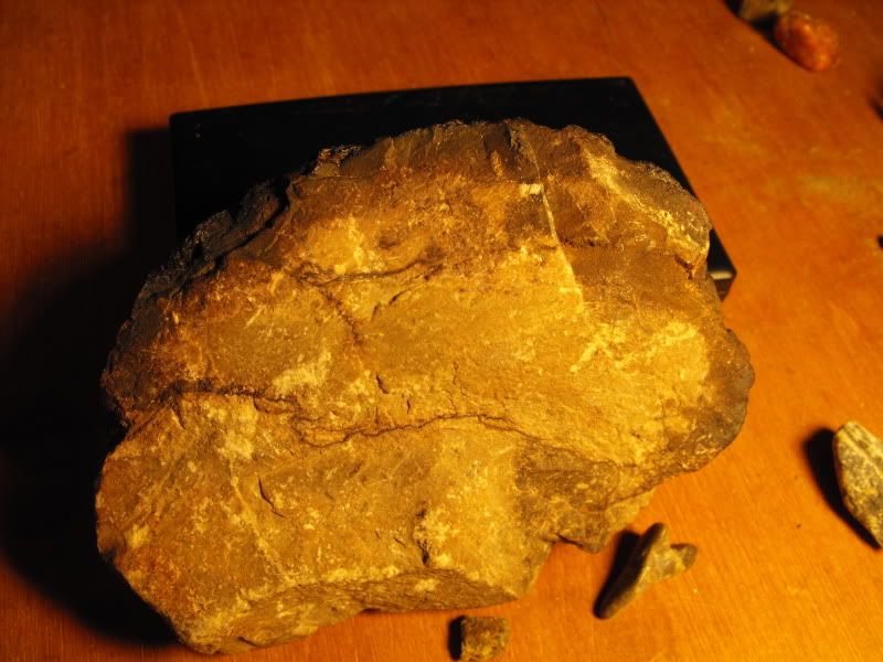 samples003.jpg