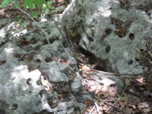 SDC17588.jpg