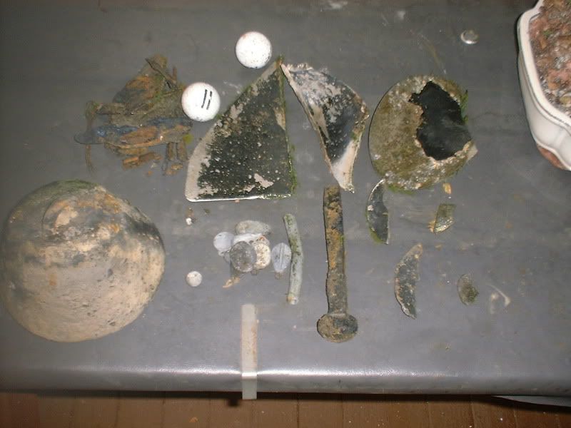 7212beachfinds.jpg