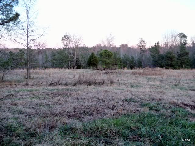 100_0127.jpg