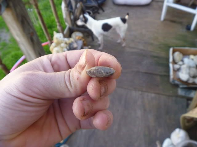 P1020653.jpg