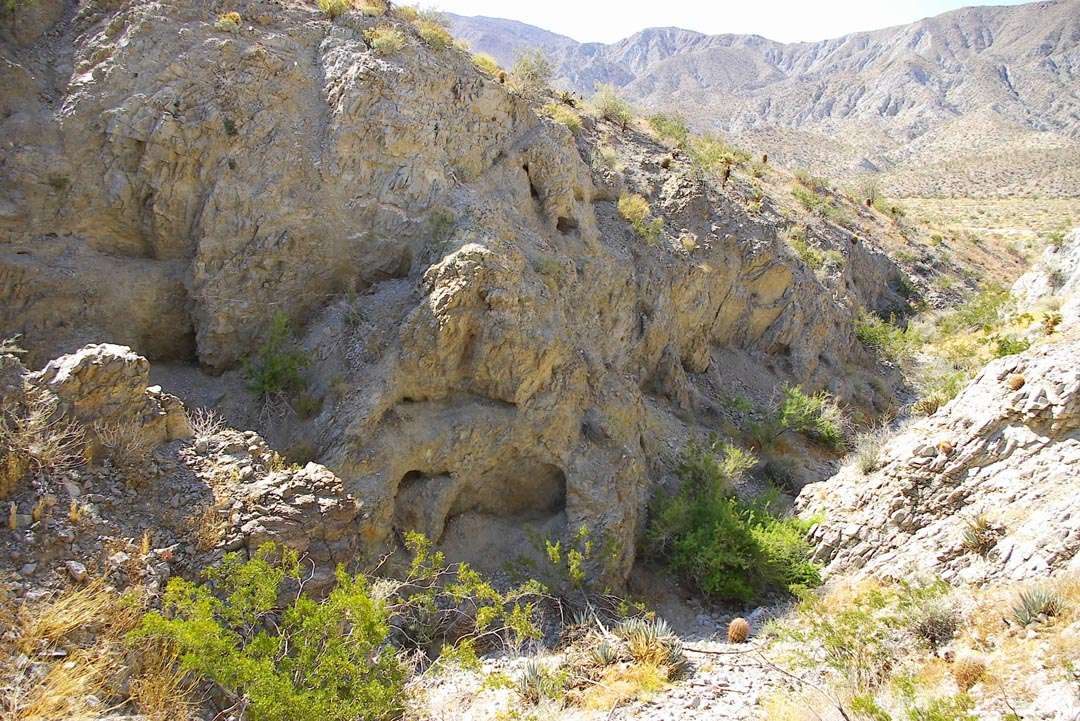 coyoteholesyh9.jpg