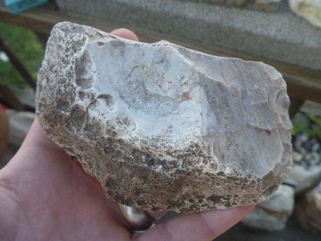 P1060524_zpsa04ab617.jpg