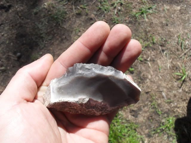 SDC10892.jpg