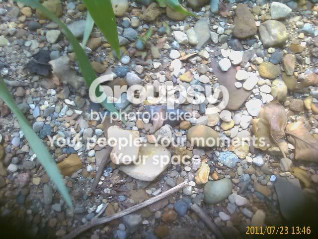 IMAGE_472.jpg