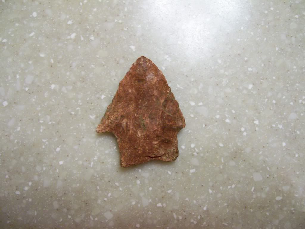 100_4695.jpg