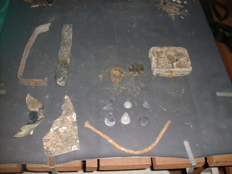 81010beachfinds.jpg
