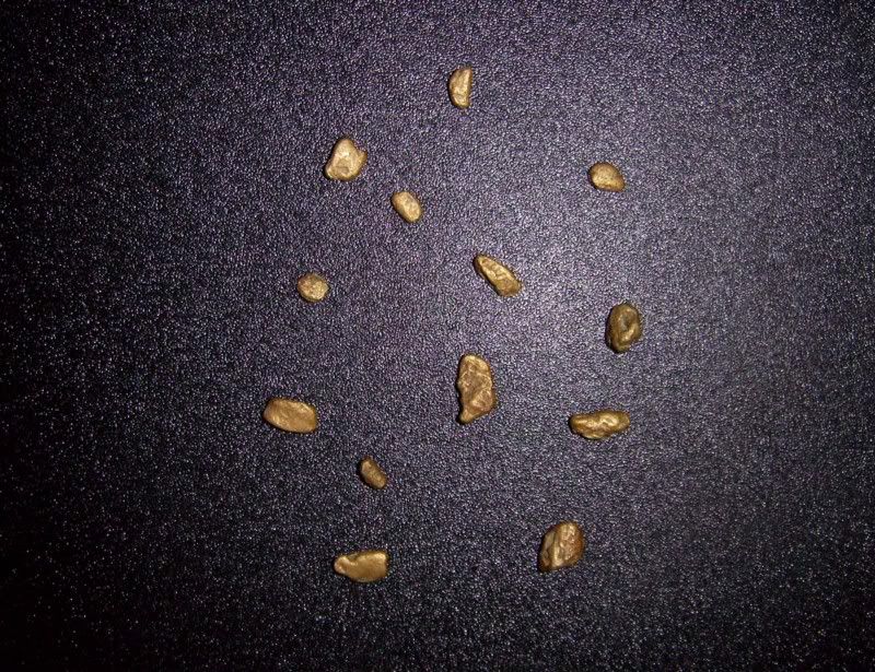 gibbstongold13th9th.jpg