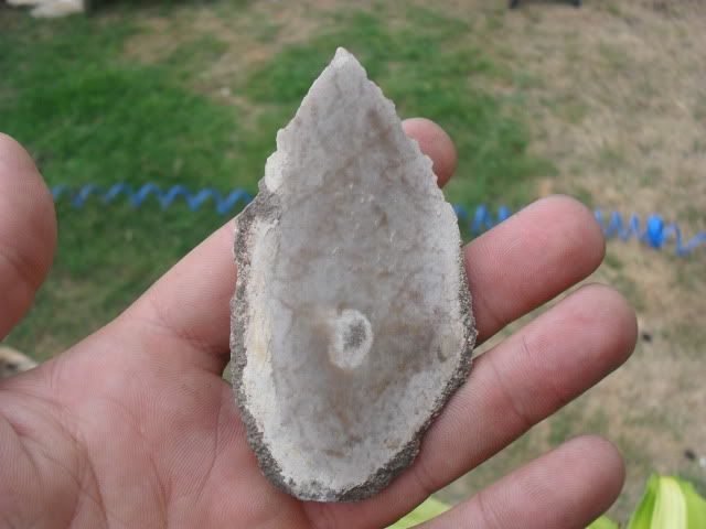 SDC17674.jpg