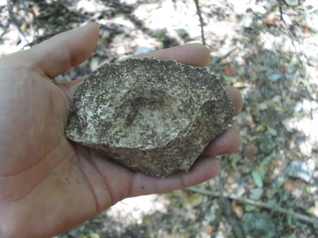 SDC10467.jpg
