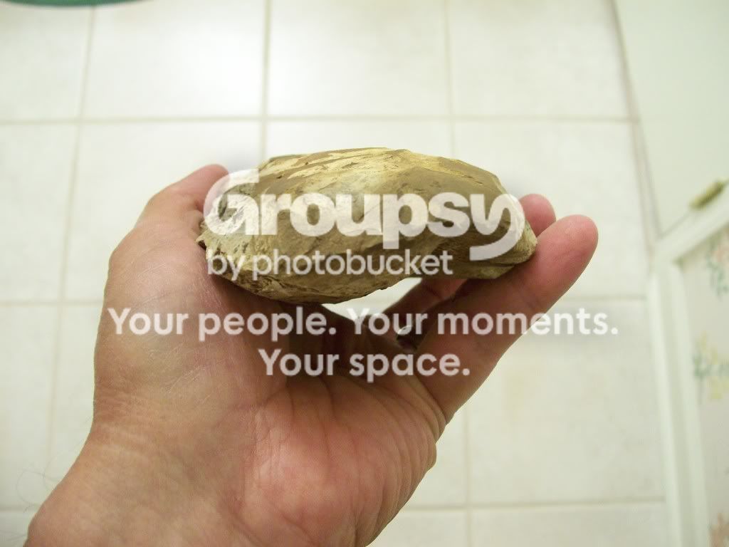 100_4041.jpg