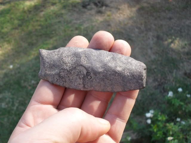 SDC10710.jpg