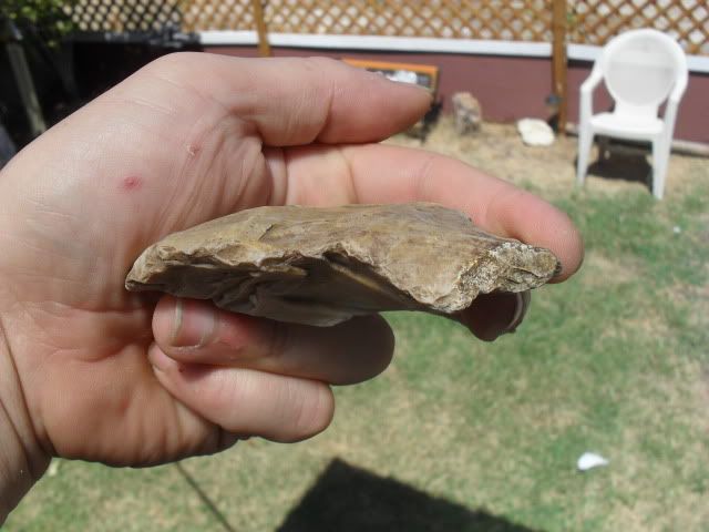 SDC10644.jpg