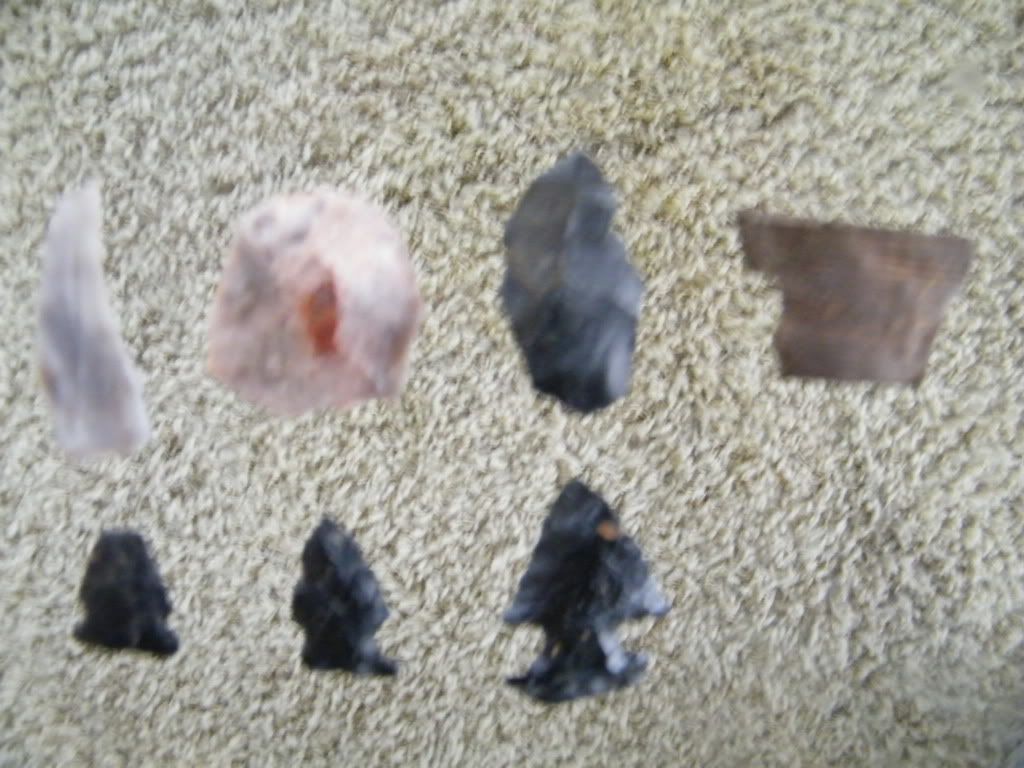 DSCF0315.jpg