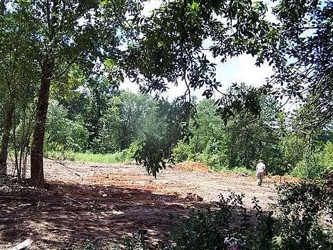 100_1533.jpg