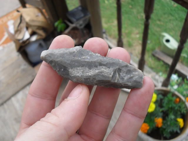 SDC10781.jpg