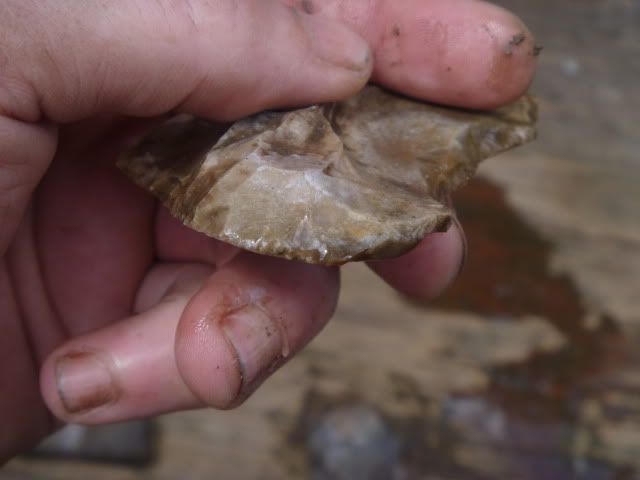 P1030948.jpg