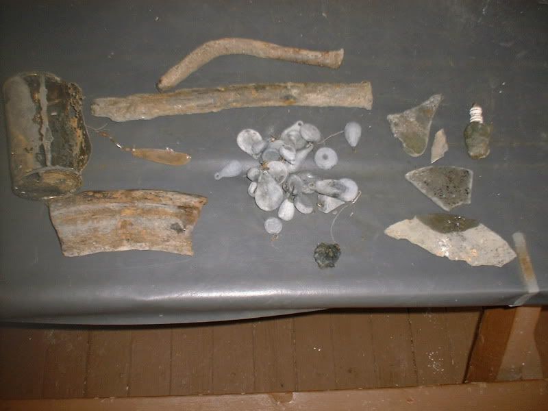 beachfinds83011.jpg