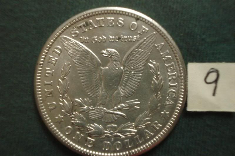 SilverDollars09RLarge.jpg
