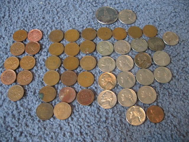 collection3.jpg