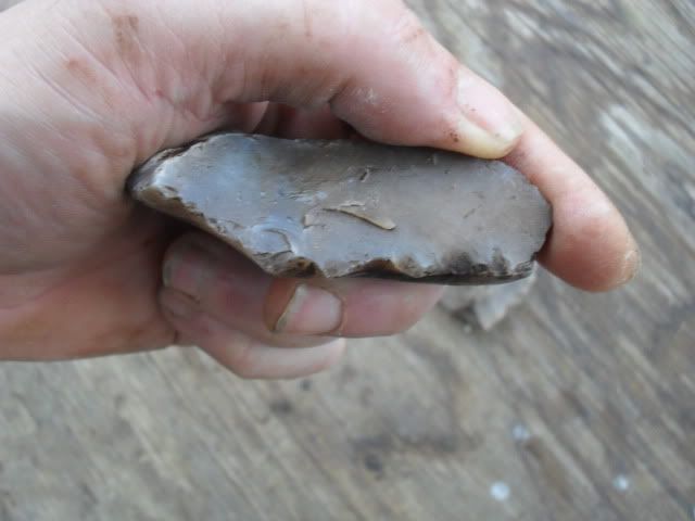 SDC10519.jpg