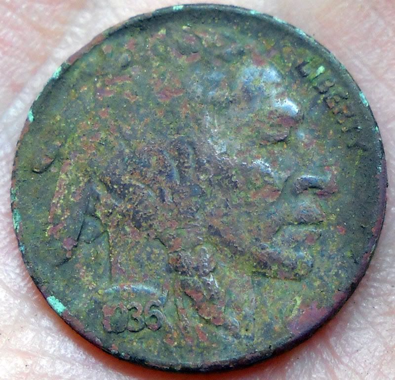 81510_1926Buffalo.jpg