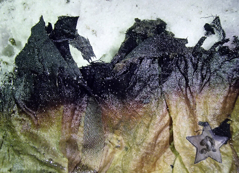 0_aac9f_2552f43f_XL.jpg
