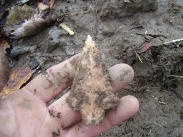 100_1149.jpg