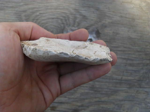 SDC10487.jpg