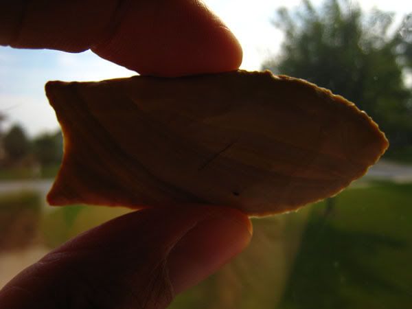 IMG_3911.jpg