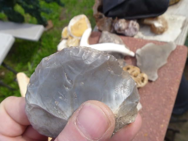 P1020053.jpg