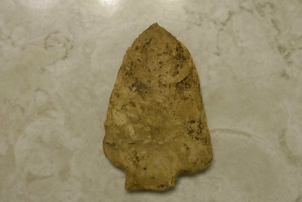 100_3374.jpg