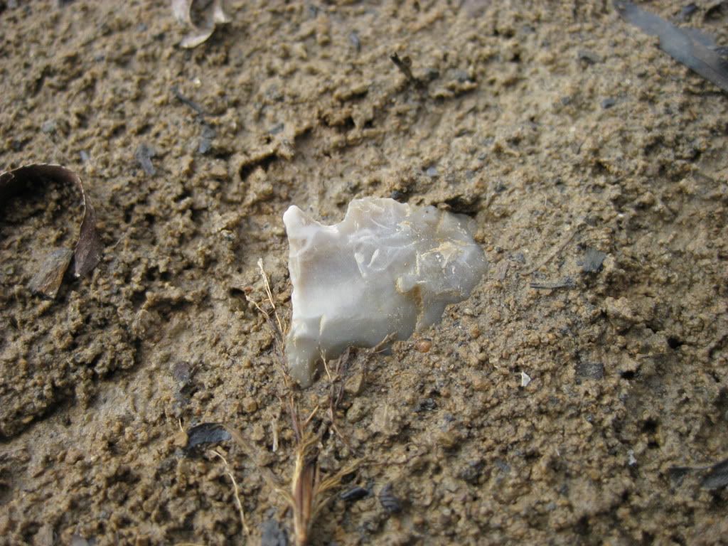 IMG_2134.jpg