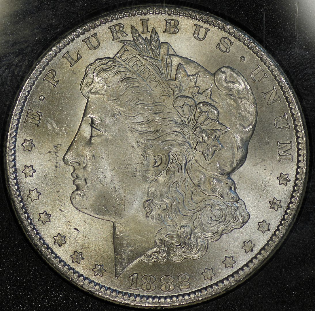 82ccgsavam3bobv.jpg