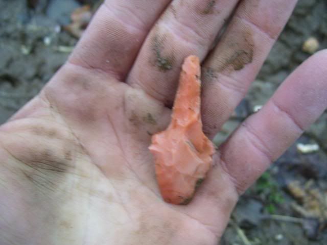100_1372.jpg