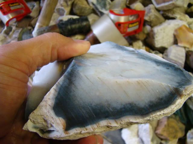 DSC02268-1.jpg