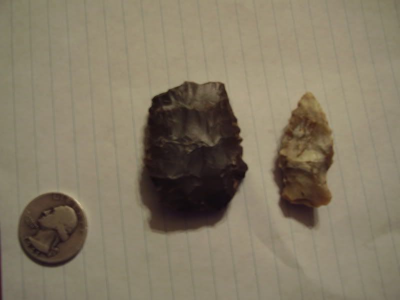 P1010005.jpg