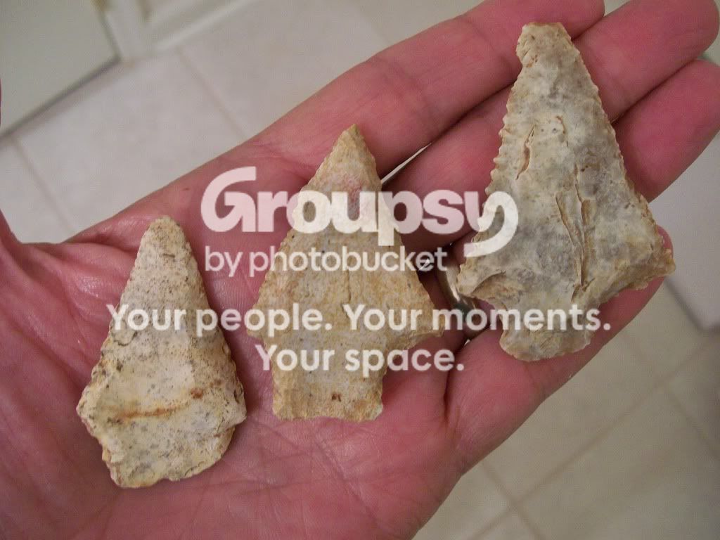 100_5009.jpg