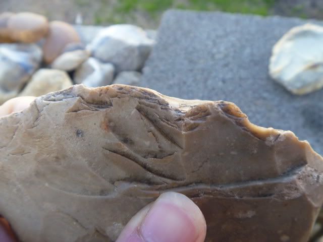 P1010199.jpg