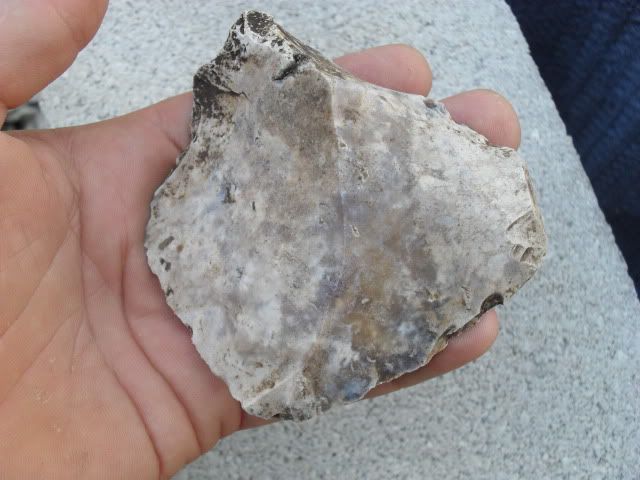 SDC10391.jpg
