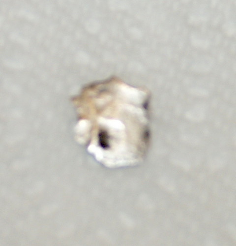 2972567805_746147c07e.jpg