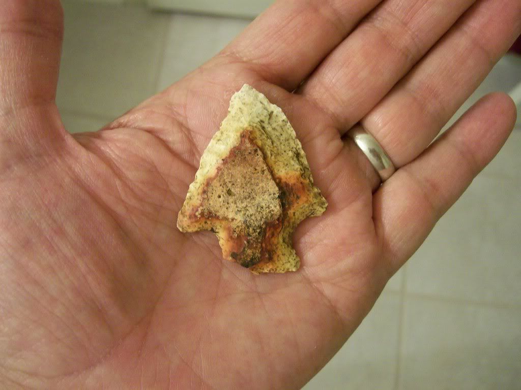 100_3040.jpg