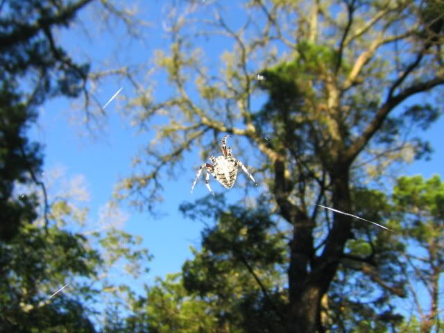 IMG_5147.jpg