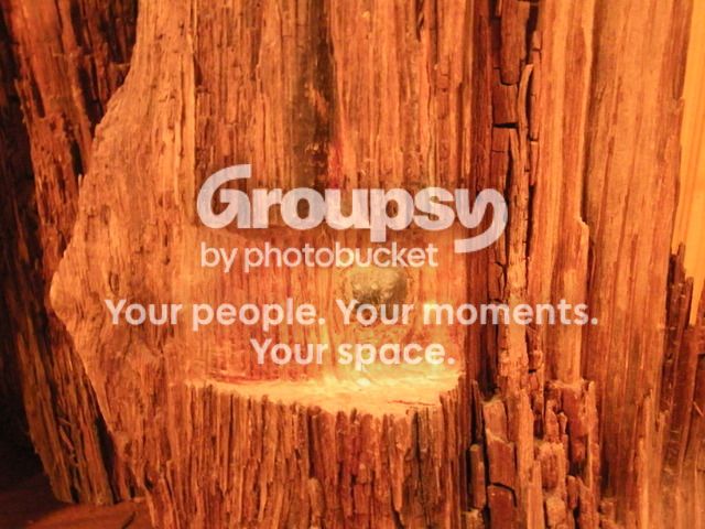 100_0546_zpstxtdmcbu.jpg