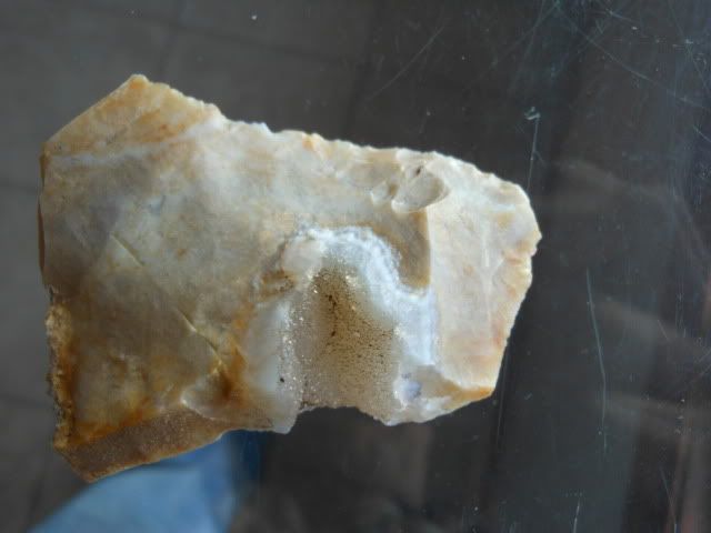 DSCN2049.jpg