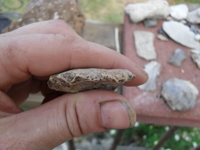 SDC10540.jpg