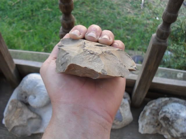 SDC10675.jpg