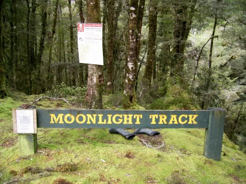 moonlightcreek.jpg