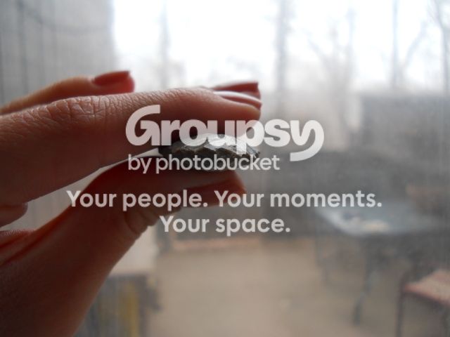 DSCN1206.jpg