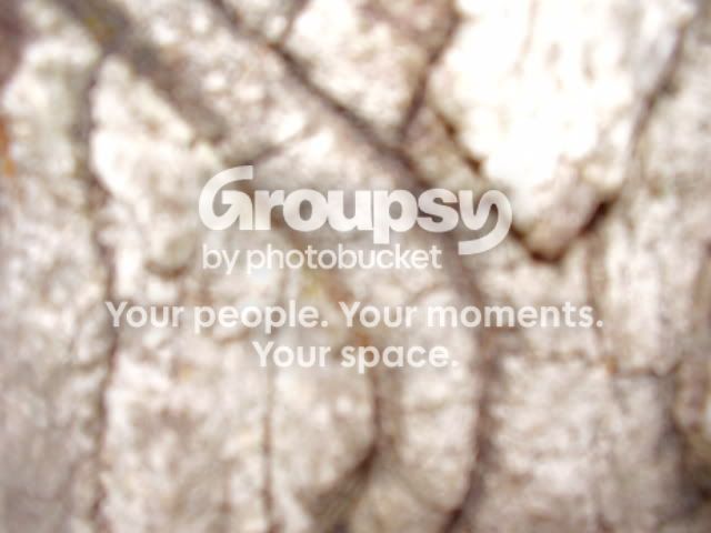 sets008.jpg
